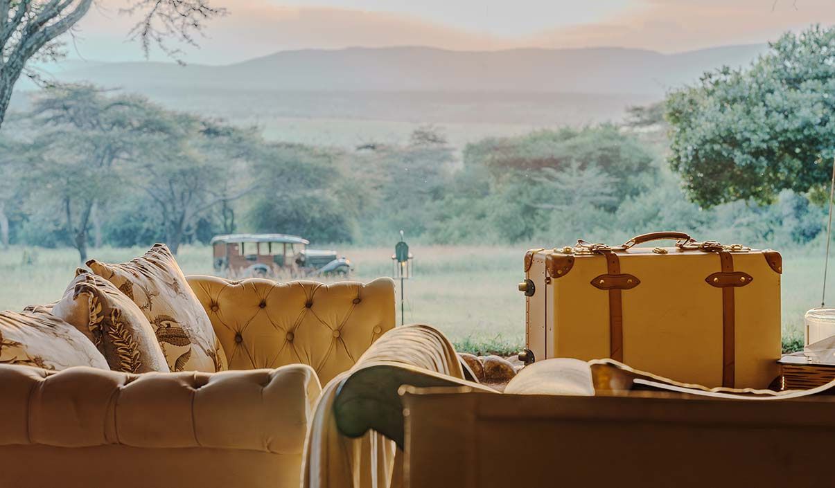 safari_banner-1_1205x705.jpg